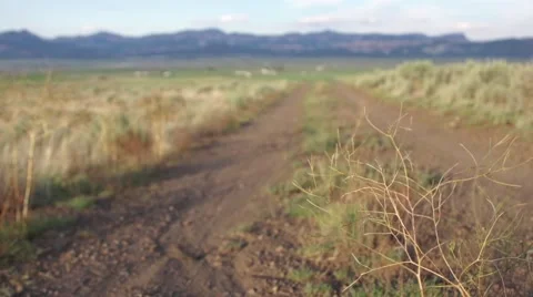 Dirt road rack focus Vídeos de archivo 41440760