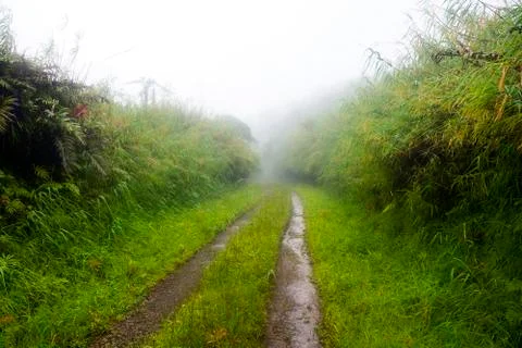 Dirt road in rain Stock Photos