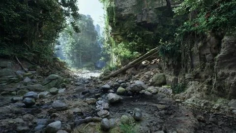 Dirt Road With Rocks and Trees in Green Forest Stock Illustration