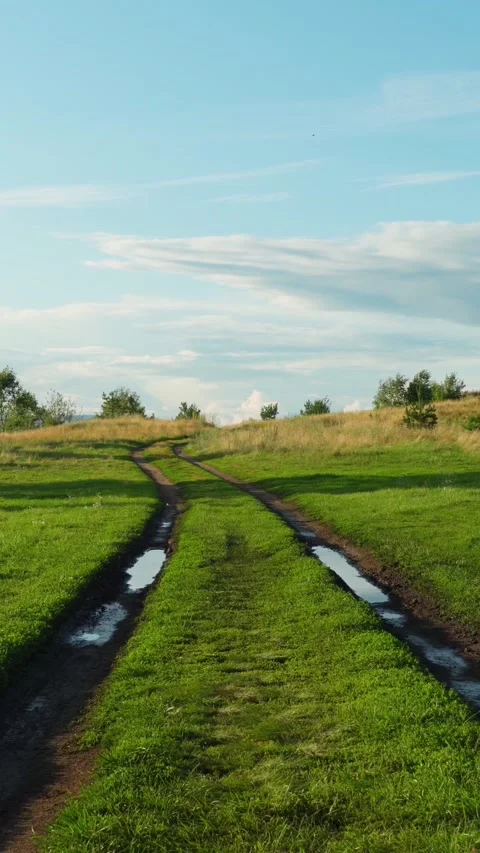 A dirt road running through a meadow with green grass. Video stock 292600903