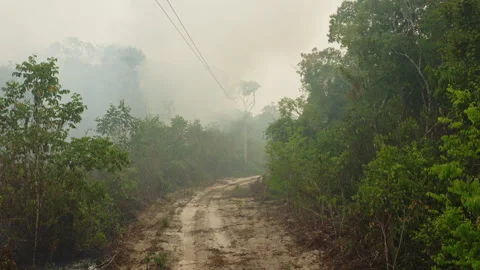 Dirt road in the southern Amazon rainforest bordered by dense smoke from a Stock Footage 340276318