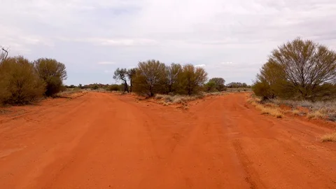 Dirt Road Split 1 Stockbeeldmateriaal 128343959