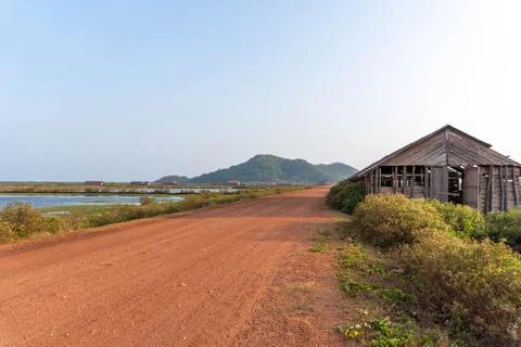 Dirt road surrounded by rice fields . Stock Photos