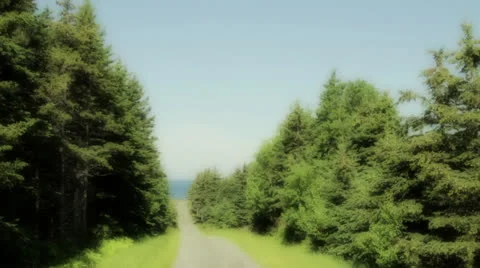Dirt road surrounded by trees with the ocean at the end Stock Footage 25272457
