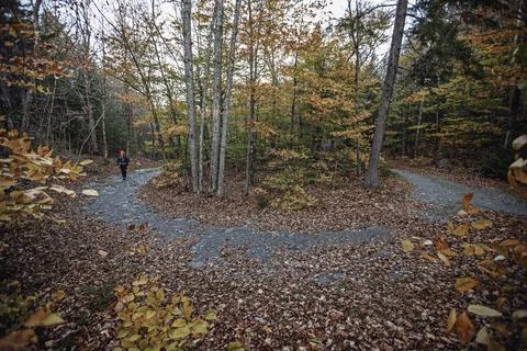 Dirt road switchbacks through wooded fall landscape Borestone Maine Stock Photos