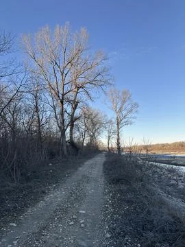 Dirt Road Through Bare Trees Along a Winter Riverbank Stock Photos