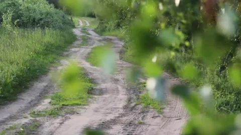 Dirt road through birch forest 스톡 동영상 72389013