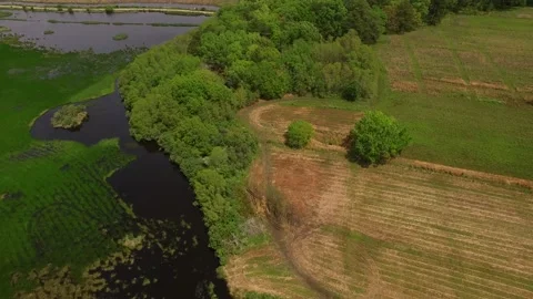 Dirt road through coastal wetlands Video stock 167371953