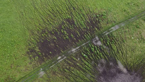 Dirt road through the field Stock Footage 166603430