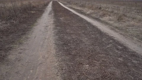 A dirt road through a field. Stock-Footage 274412874