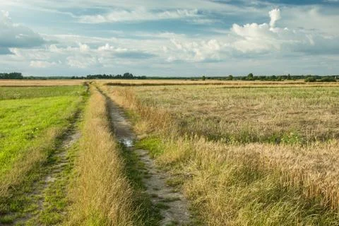Dirt road through fields and meadows, clouds in the sky Stock Photos