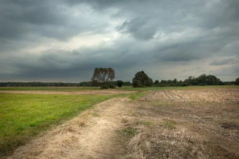 Dirt road through fields and dark clouds on the sky Stock Photos
