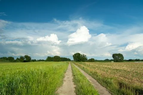A dirt road through fields and white clouds on blue sky Stock Photos