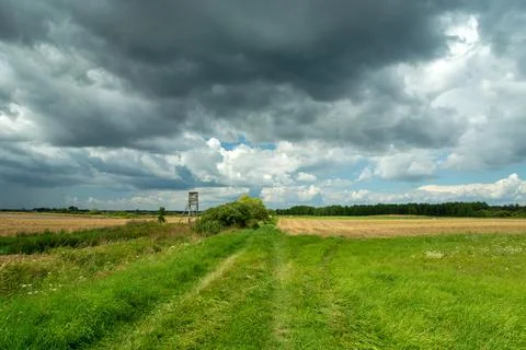 Dirt road through the fields and cloudy sky Stock Photos