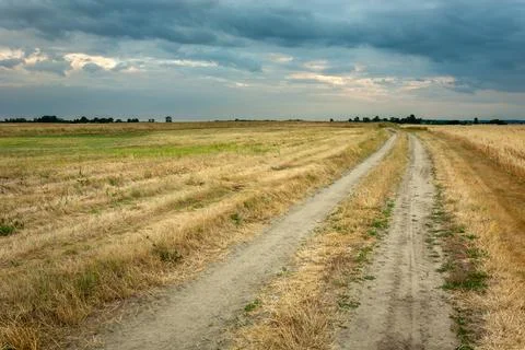 Dirt road through fields and cloudy sky Stock Photos