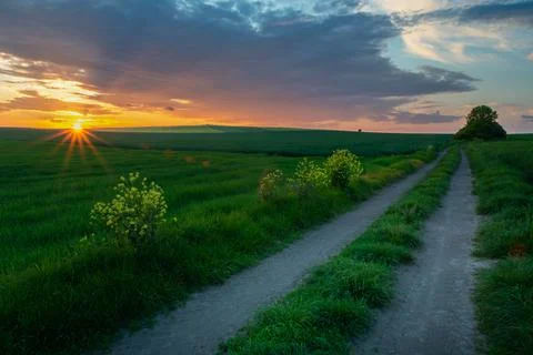 Dirt road through fields and sunset sky, spring view Stock Photos