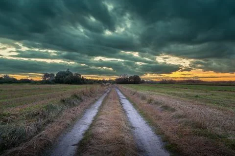 Dirt road through the fields and cloudy sky Stock Photos