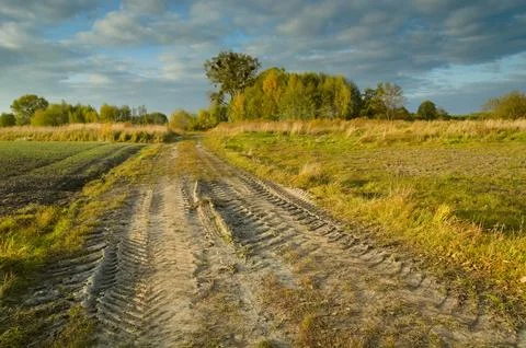 A dirt road through fields and a cloudy sky Stock Photos