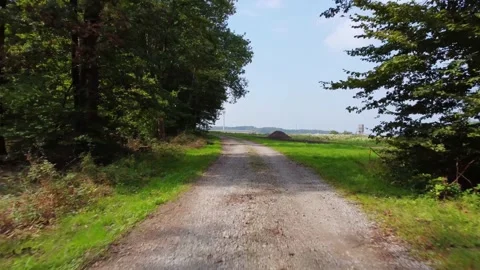 Dirt road through the forest Stock Footage 171389032