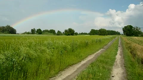Dirt road through green fields and a rainbow on the sky Stock Footage 136690363