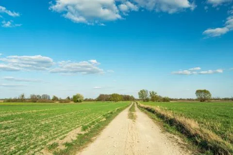 A dirt road through green fields, horizon and blue sky Stock Photos