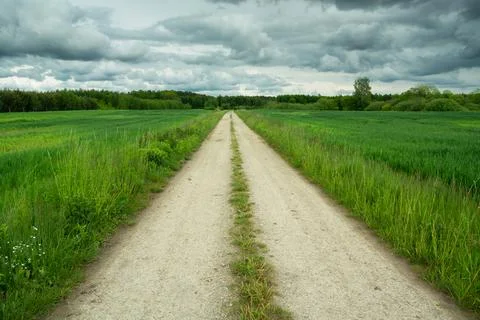 Dirt road through green fields and cloudy sky Stock Photos