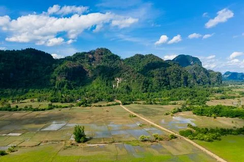 Dirt road through rice fields and forested hills Stockfoto's
