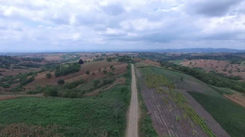 Dirt Road through Rolling Hills of Corn Crops in Ecuador Video stock 63605106