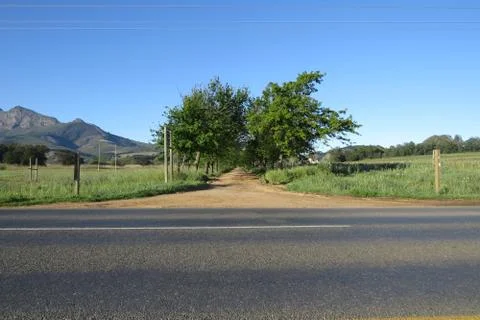 Dirt road through trees Stock Photos