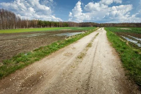 A dirt road through wet fields 스톡 사진