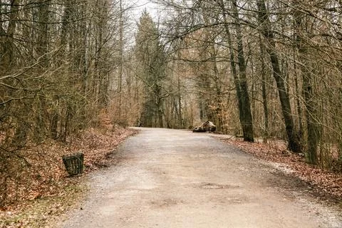 A dirt road with trees on either side Stock Photos