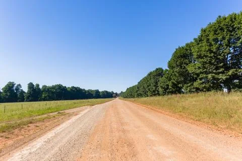 Dirt Road Trees Explore Stock Photos
