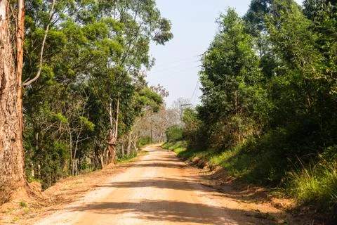 Dirt Road Trees Stock Photos