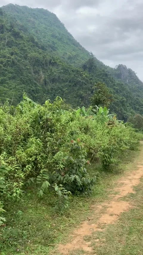 Dirt road in Vang Vieng Видео 343320247