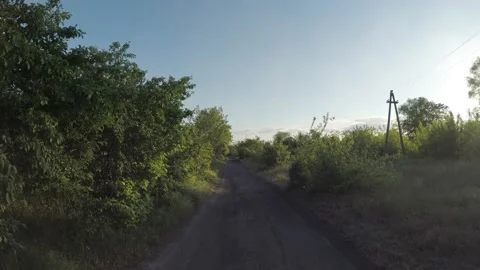 Dirt road with wild trees and grass, during sunset Stock Footage 130720752