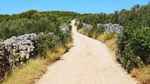 Dirt road winding through olive trees and stone walls under a clear blue sky in Stock Footage 345653164
