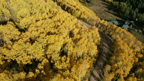 Dirt road winding through yellow aspen forest at Crested Butte, Colorado, USA 스톡 동영상 314765331