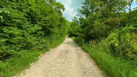 Dirt road winds through dense green forest. Vrmdza Lake hike. Serbia 库存影片 338023209