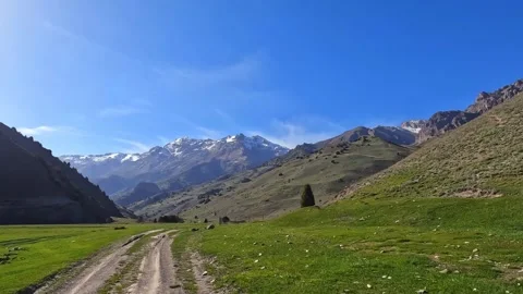 A dirt road winds through a grassy field with amazing mountains Video stock 317169033