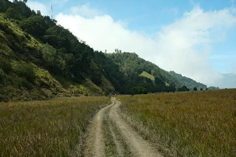 A dirt road winds through a grassy field Stock Photos
