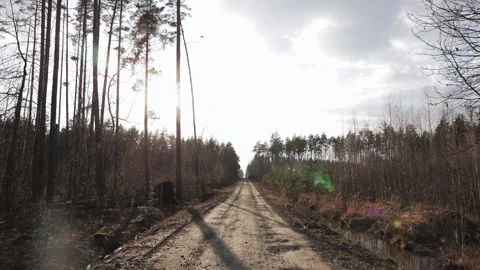 A dirt road winds through a winter forest, sunlight dappling through the bare Stock Footage 279992505