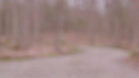 Dirt Road in the Woods 库存影片 154059532