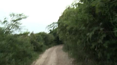 Dirt rural road Stock Footage 23873138