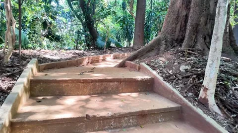 Dirt Stairs and Path Winding Through a Sunny Forest Vídeos de archivo 334664322