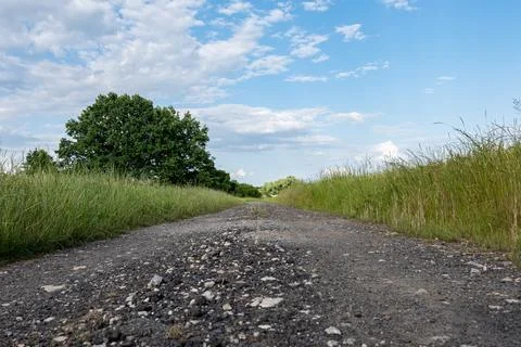 Dirt stone road going through rural areas of western Poland 库存照片