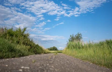 Dirt stone road going through rural areas of western Poland Foto stock