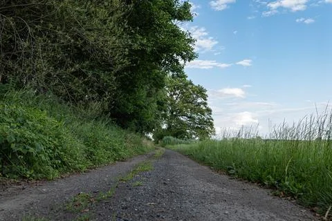 Dirt stone road going through rural areas of western Poland Foto stock