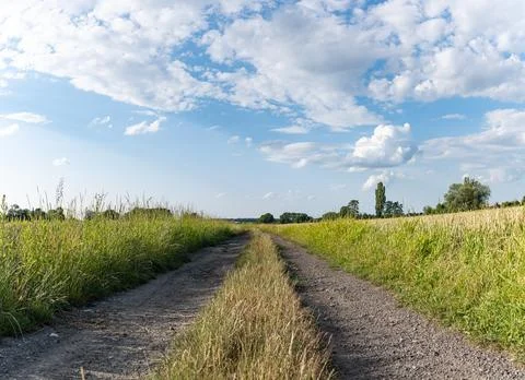 Dirt stone road going through rural areas of western Poland Foto stock