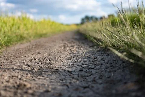 Dirt stone road going through rural areas of western Poland Foto stock