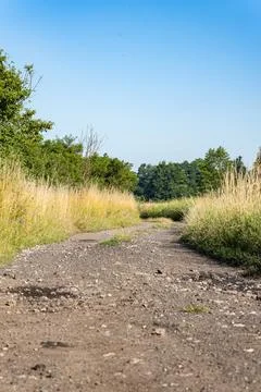 Dirt stone road going through rural areas of western Poland Foto stock